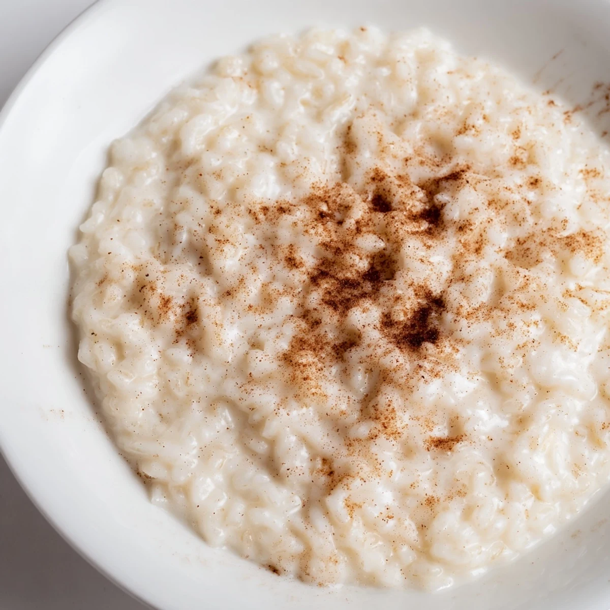 A warm bowl of creamy Rice Pudding with Leftover Rice, dusted gently with cinnamon, ready to eat.
