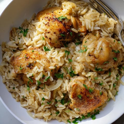 Aromatic One-Pot Garlic Parmesan Chicken and Rice garnished with fresh parsley, ready to serve.  